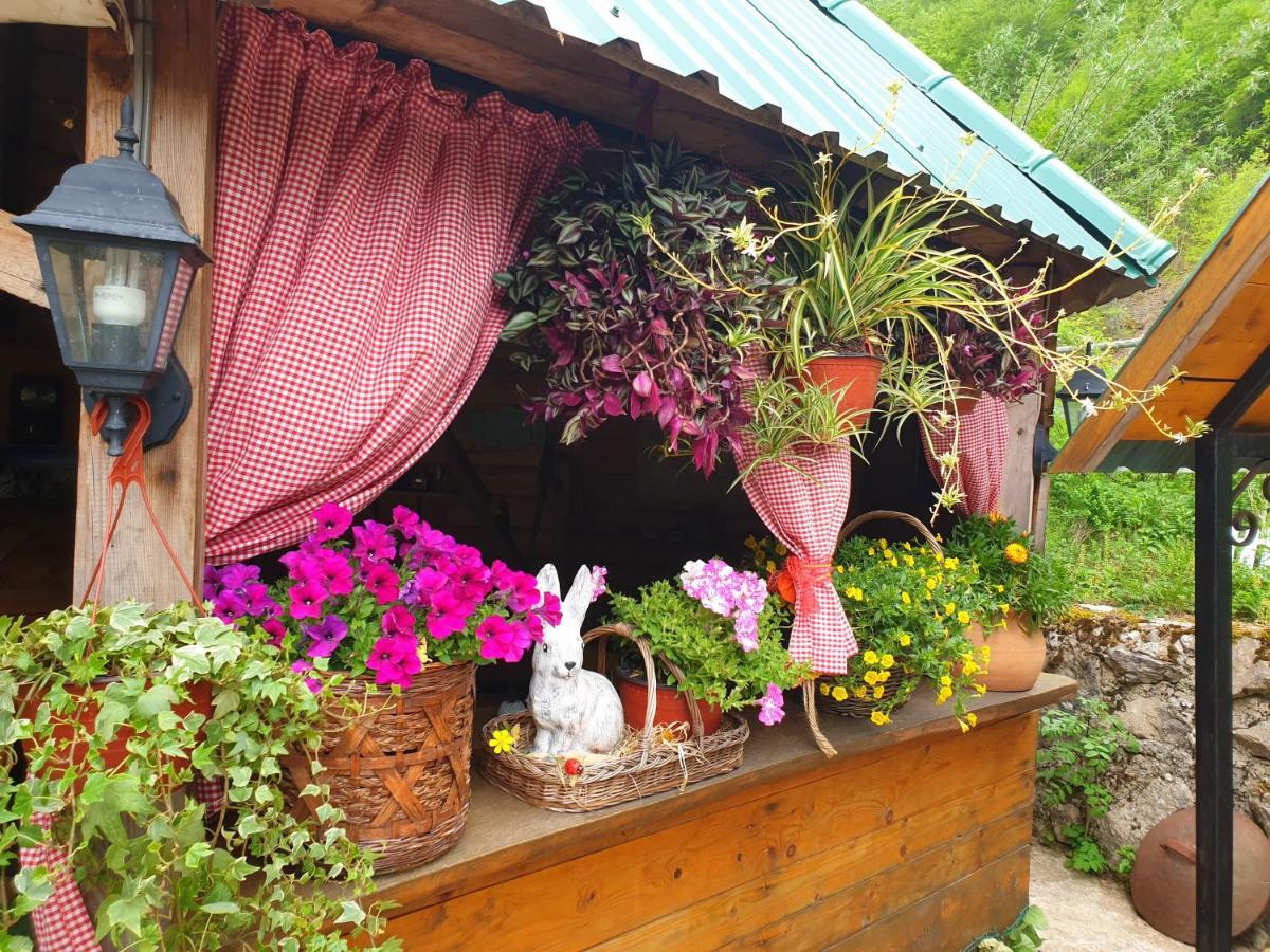 Kamp Vrbnica Plužine Exterior foto